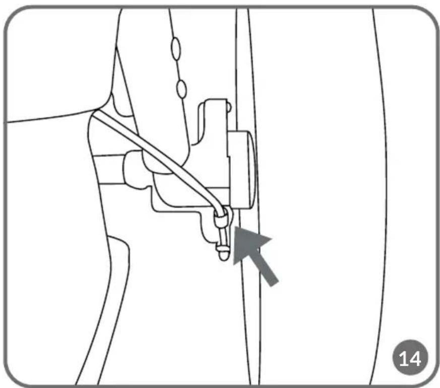 Lionelo Azura - 17