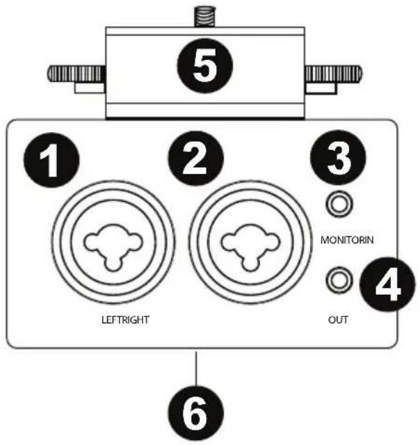 MARANTZ PMD-602A - Panel trasero - 1