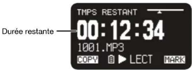 TMPS RESTANT 00:12:34 Durée restante 1001.MP3 COPY ⊙ ▶ LECT MARK