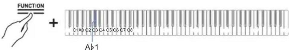 FUNCTION + C1A0 C2 C3 C4 C5 C6 C7 C8 Ab1