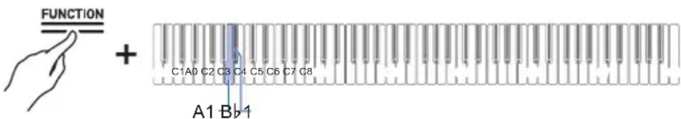 FUNCTION + C1A0 C2 C3 C4 C5 C6 C7 C8 A1 Bb1