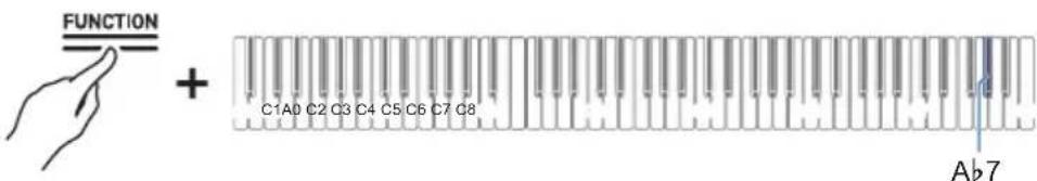 FUNCTION + C1A0 C2 C3 C4 C5 C6 C7 C8 Ab7