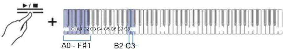 C1A0 C2 C3 C4 C5 C6 C7 C8 A0 - F#1 B2 C3-