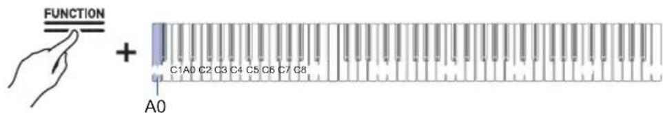 FUNCTION + C1A0 C2 C3 C4 C5 C6 C7 C8 A0