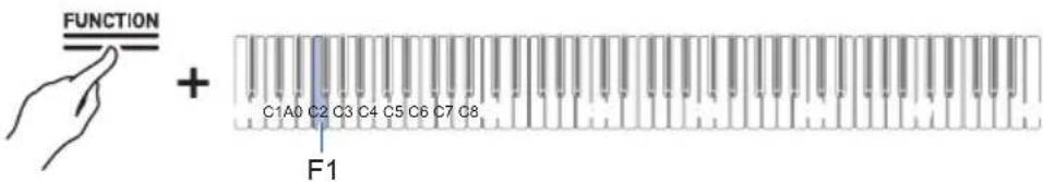 FUNCTION + C1A0 C2 C3 C4 C5 C6 C7 C8 F1