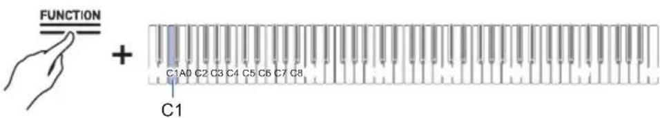 FUNCTION + C1A0 C2 C3 C4 C5 C6 C7 C8 C1