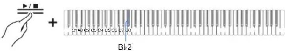 C1A0 C2 C3 C4 C5 C6 C7 C8 Bb2