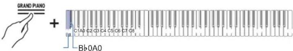 GRAND PIANO + C1A0 C2 C3 C4 C5 C6 C7 C8 Bb0A0