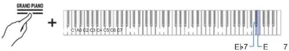 GRAND PIANO + C1A0 C2 C3 C4 C5 C6 C7 Eb7 E 7