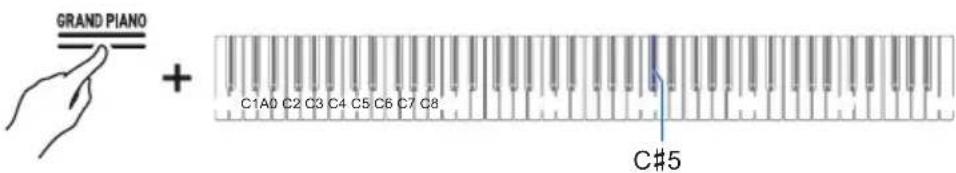 GRAND PIANO + C1A0 C2 C3 C4 C5 C6 C7 C8 C#5