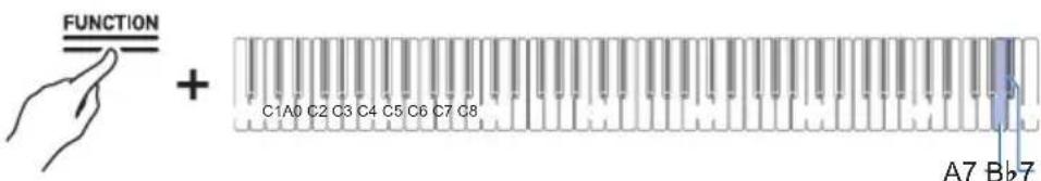 FUNCTION + C1A0 C2 C3 C4 C5 C6 C7 C8 A7 Bb7