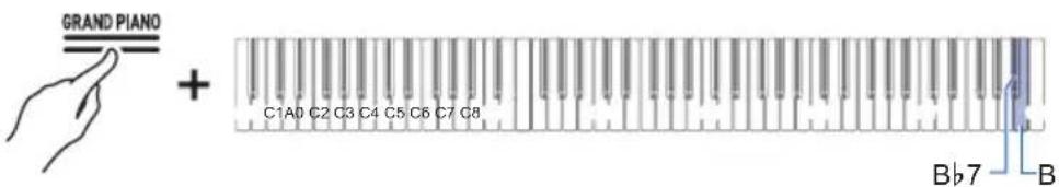 GRAND PIANO + C1A0 C2 C3 C4 C5 C6 C7 C8 Bb7 B