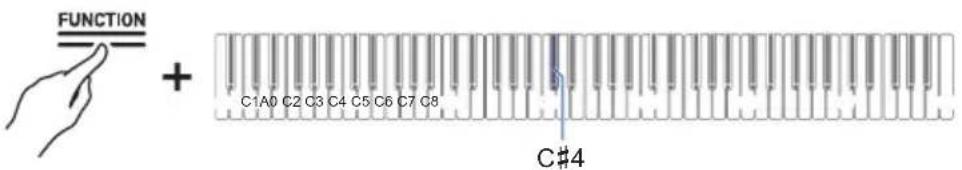 FUNCTION + C1A0 C2 C3 C4 C5 C6 C7 C8 C#4