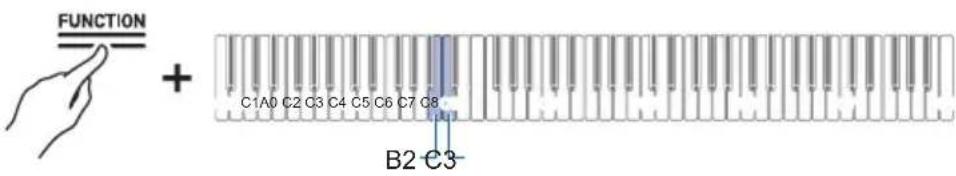 FUNCTION + C1A0 C2 C3 C4 C5 C6 C7 C8 B2-C3-