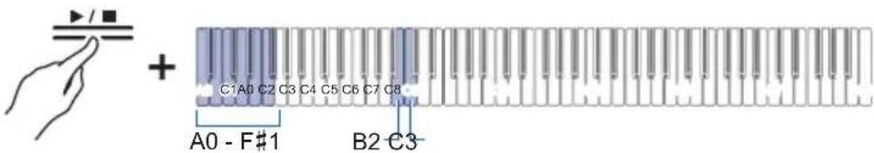 C1A0 C2 C3 C4 C5 C6 C7 C8 A0 - F#1 B2 C3-