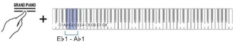 GRAND PIANO + C1A0 C2 C3 C4 C5 C6 C7 C8 Eb1 - Ab1