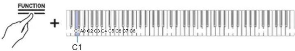 FUNCTION + C1A0 C2 C3 C4 C5 C6 C7 C8 C1