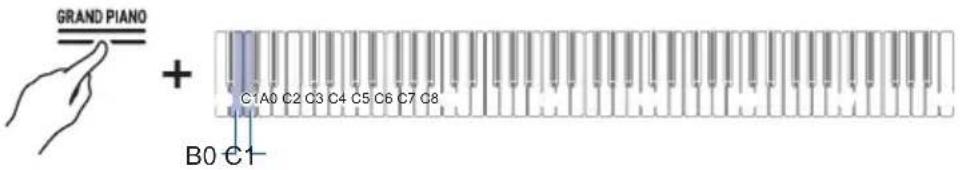 GRAND PIANO + C1A0 C2 C3 C4 C5 C6 C7 C8 B0 €1-
