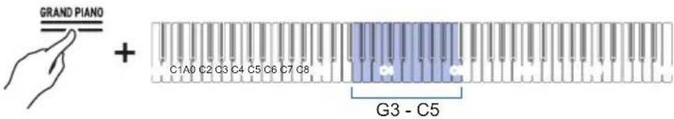 GRAND PIANO + C1A0 C2 C3 C4 C5 C6 C7 C8 G3 - C5