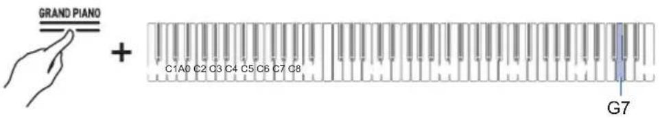 GRAND PIANO + C1A0 C2 C3 C4 C5 C6 C7 C8 G7
