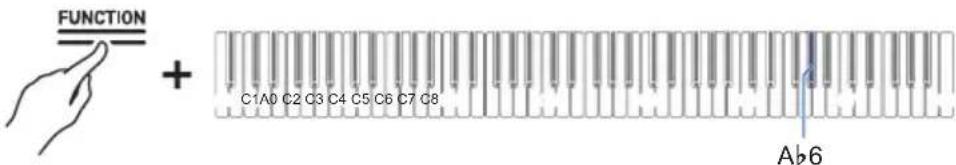 FUNCTION + C1A0 C2 C3 C4 C5 C6 C7 C8 Ab6