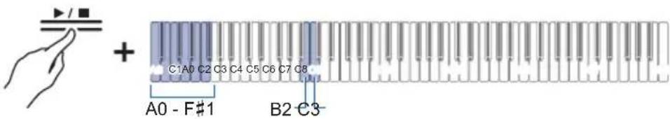 C1A0 C2 C3 C4 C5 C6 C7 C8 A0 - F#1 B2 C3