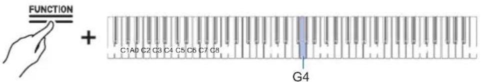 FUNCTION + C1A0 C2 C3 C4 C5 C6 C7 C8 G4