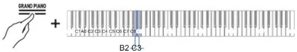 GRAND PIANO + C1A0 C2 C3 C4 C5 C6 C7 C8 B2-C3-