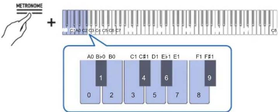METRONOME + C1A0 C2 C3 C4 C5 C6 C7 A0 Bb0 B0 1 C1 C#1 D1 Eb1 E1 4 6 F1 F#1 9 0 2 3 5 7 8