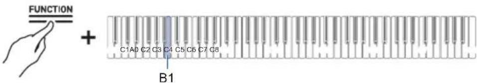 FUNCTION + C1A0 C2 C3 C4 C5 C6 C7 C8 B1