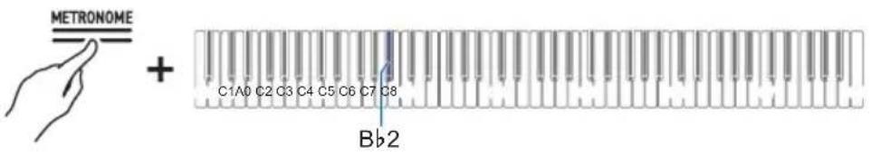 METRONOME + C1A0 C2 C3 C4 C5 C6 C7 C8 Bb2