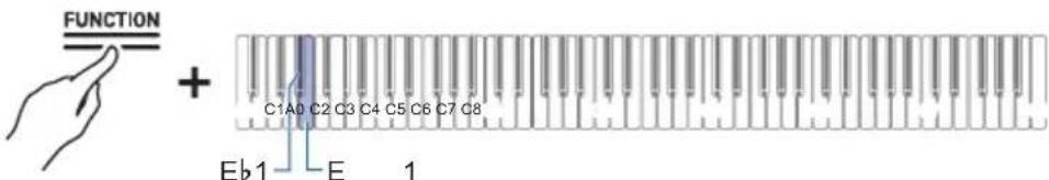 FUNCTION + C1A0 C2 C3 C4 C5 C6 C7 C8 Eb1 E 1
