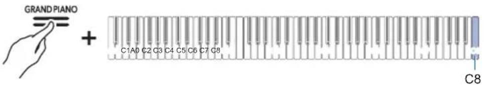GRAND PIANO + C1A0 C2 C3 C4 C5 C6 C7 C8 C8
