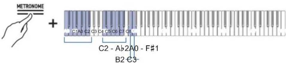METRONOME + C1A0 C2 C3 C4 C5 C6 C7 C8 C2 - Ab2A0 - F#1 B2 C3-