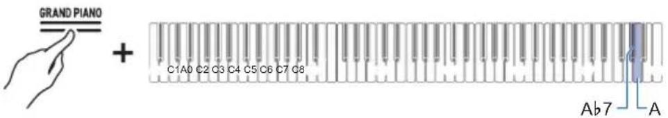 GRAND PIANO + C1A0 C2 C3 C4 C5 C6 C7 C8 Ab7 A