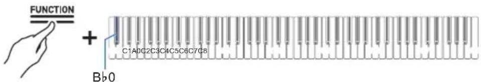 FUNCTION + C1A0C2C3C4C5C6C7C8 Bb0