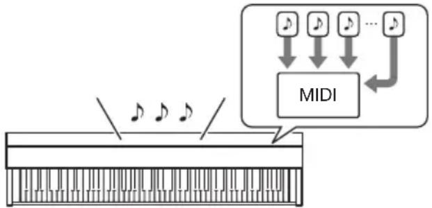 CASIO AP-S200 - ■Enregistreur MIDI - 1