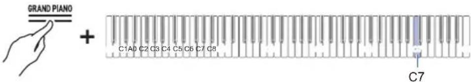 GRAND PIANO + C1A0 C2 C3 C4 C5 C6 C7 C8 C7