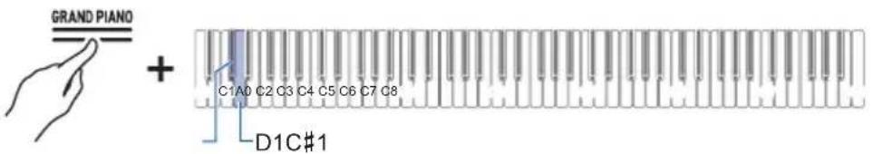 GRAND PIANO + C1A0 C2 C3 C4 C5 C6 C7 C8 D1C#1