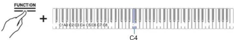 FUNCTION + C1A0 C2 C3 C4 C5 C6 C7 C8 C4
