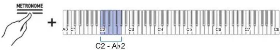 METRONOME + A0 C1 C2 C3 C4 C5 C6 C7 C8 C2 - Ab2