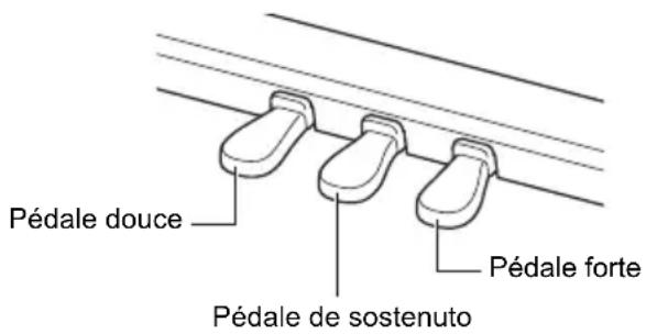 Pédale douce Pédale de sostenuto Pédale forte