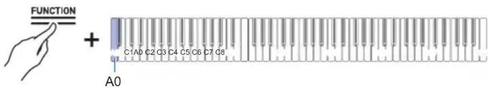 FUNCTION + C1A0 C2 C3 C4 C5 C6 C7 C8 A0