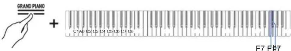 GRAND PIANO + C1A0 C2 C3 C4 C5 C6 C7 C8 F7 F#7