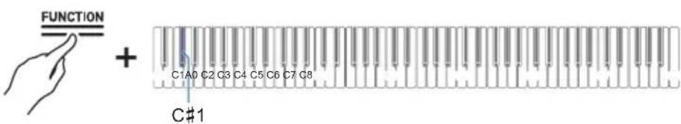 FUNCTION + C1A0 C2 C3 C4 C5 C6 C7 C8 C#1