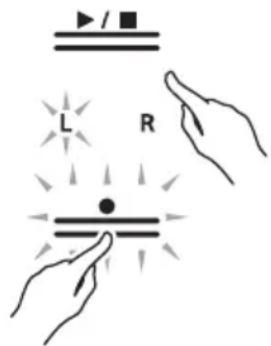 L R