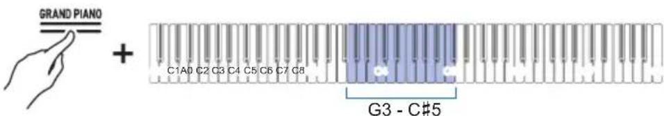 GRAND PIANO + C1A0 C2 C3 C4 C5 C6 C7 C8 G3 - C#5