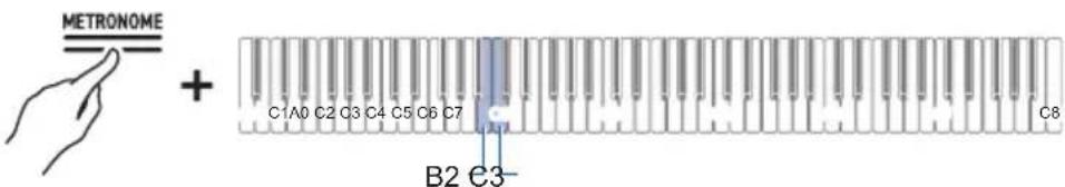 METRONOME + C1A0 C2 C3 C4 C5 C6 C7 B2 C3- C8
