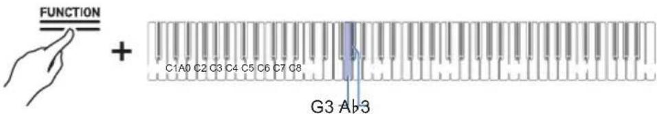 FUNCTION + C1A0 C2 C3 C4 C5 C6 C7 C8 G3 A3