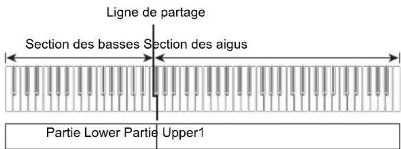 Ligne de partage Section des basses Section des aigus Partie Lower Partie Upper1